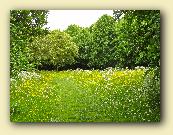 AppleMark
�